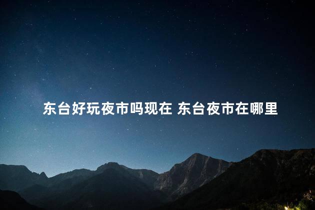 东台好玩夜市吗现在 东台夜市在哪里